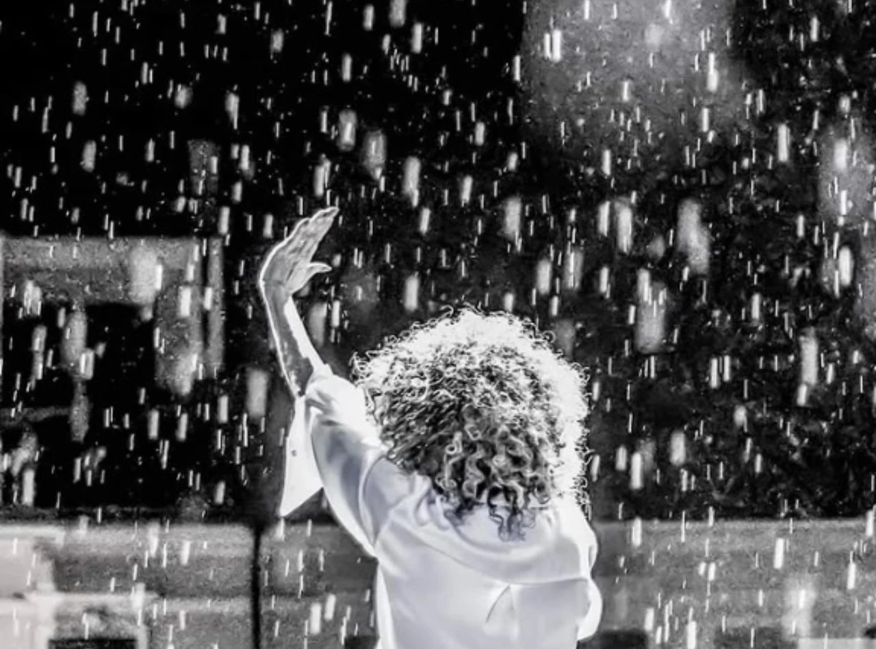 Come evitare che la pioggia rovini le piante in balcone: ecco la strategia efficace suggerita dagli specialisti