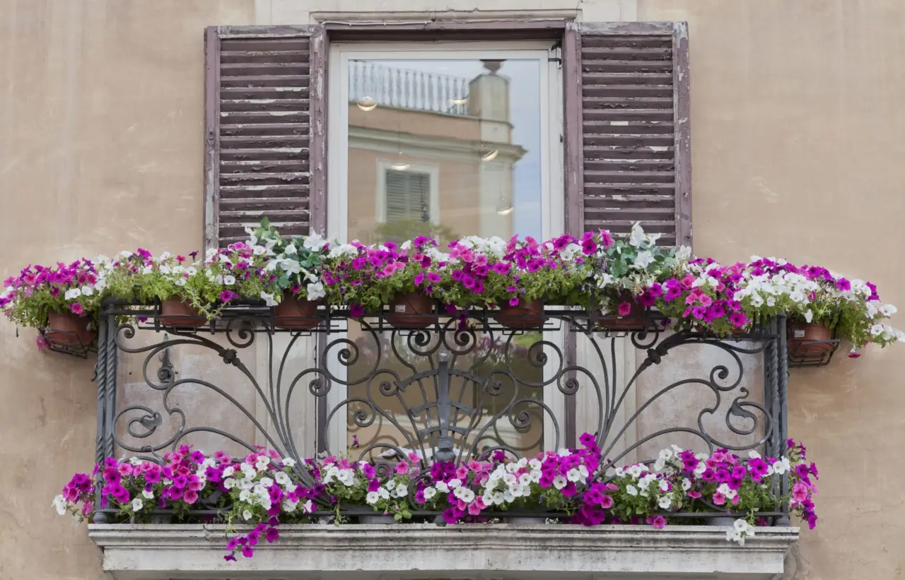 Formiche sul balcone? Ecco cosa spruzzare per farle sparire in modo naturale Formiche sul balcone? Ecco cosa spruzzare per farle sparire in modo naturale