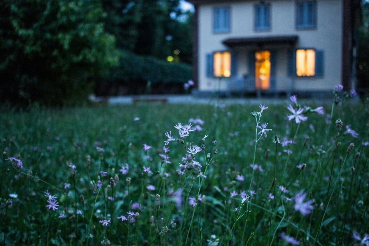 Fai questo la sera e non vedrai più zanzare in giardino: il metodo funziona davvero Fai questo la sera e non vedrai più zanzare in giardino: il metodo funziona davvero